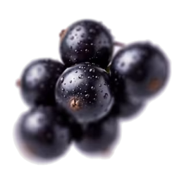 Pod Ribes Nero - 3 pezzi | air up